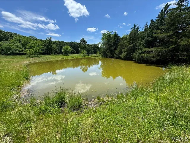 $824,900 | 0 Cardinal Road, Dixon, MO 65459