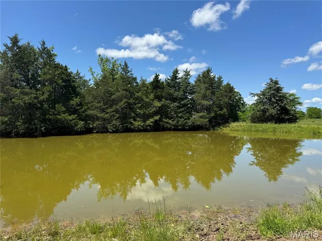 $824,900 | 0 Cardinal Road, Dixon, MO 65459