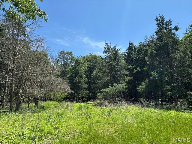 $824,900 | 0 Cardinal Road, Dixon, MO 65459