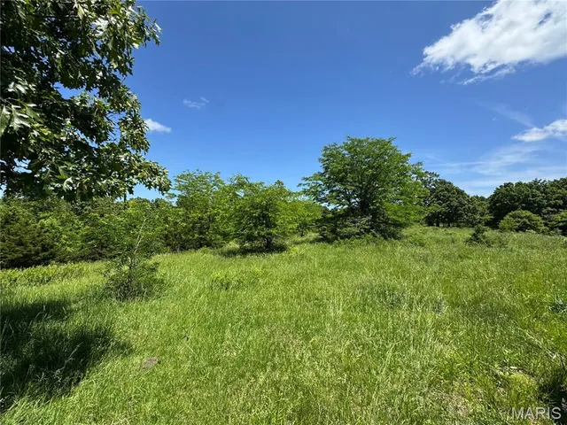 $824,900 | 0 Cardinal Road, Dixon, MO 65459