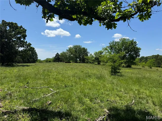 $824,900 | 0 Cardinal Road, Dixon, MO 65459