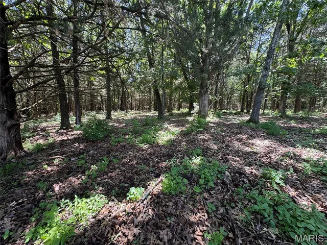 $824,900 | 0 Cardinal Road, Dixon, MO 65459