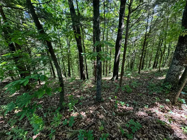 $824,900 | 0 Cardinal Road, Dixon, MO 65459