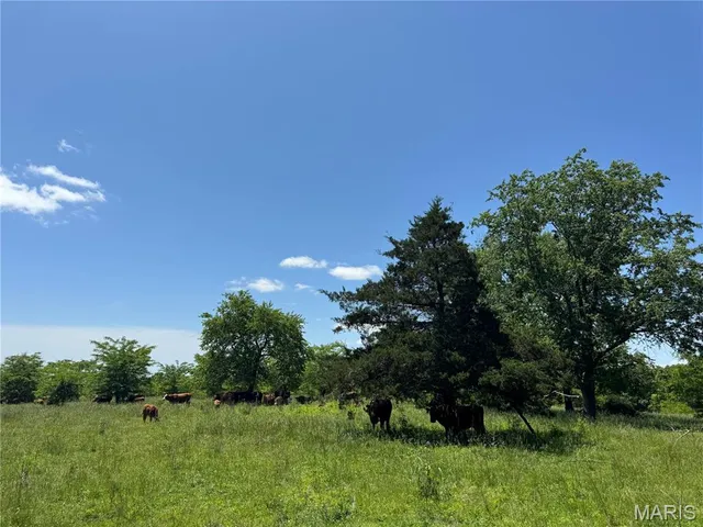 $824,900 | 0 Cardinal Road, Dixon, MO 65459