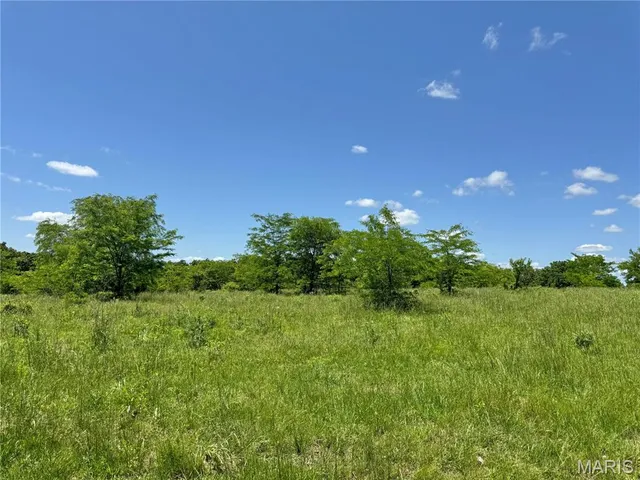 $824,900 | 0 Cardinal Road, Dixon, MO 65459