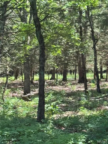 $824,900 | 0 Cardinal Road, Dixon, MO 65459