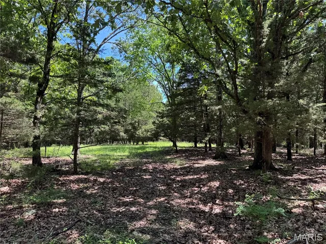 $824,900 | 0 Cardinal Road, Dixon, MO 65459