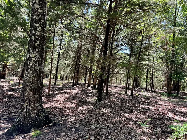 $824,900 | 0 Cardinal Road, Dixon, MO 65459