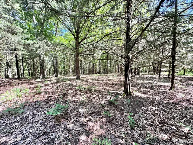 $824,900 | 0 Cardinal Road, Dixon, MO 65459