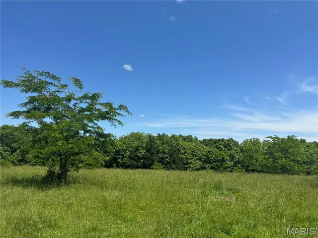 $824,900 | 0 Cardinal Road, Dixon, MO 65459