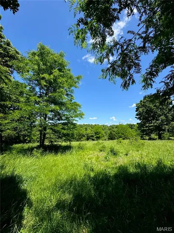 $824,900 | 0 Cardinal Road, Dixon, MO 65459