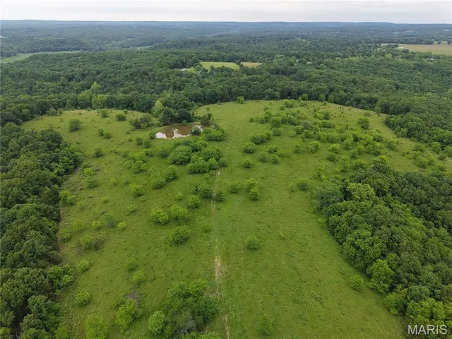 $824,900 | 0 Cardinal Road, Dixon, MO 65459