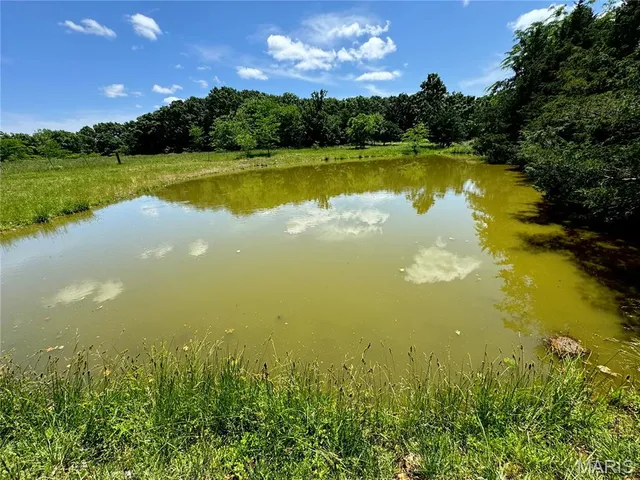 $824,900 | 0 Cardinal Road, Dixon, MO 65459