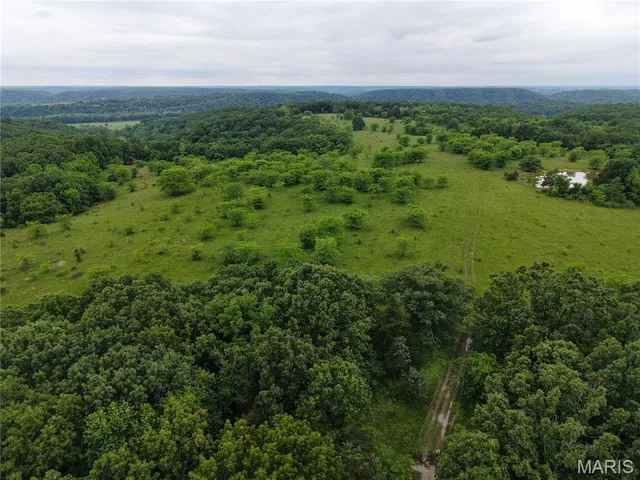 $824,900 | 0 Cardinal Road, Dixon, MO 65459