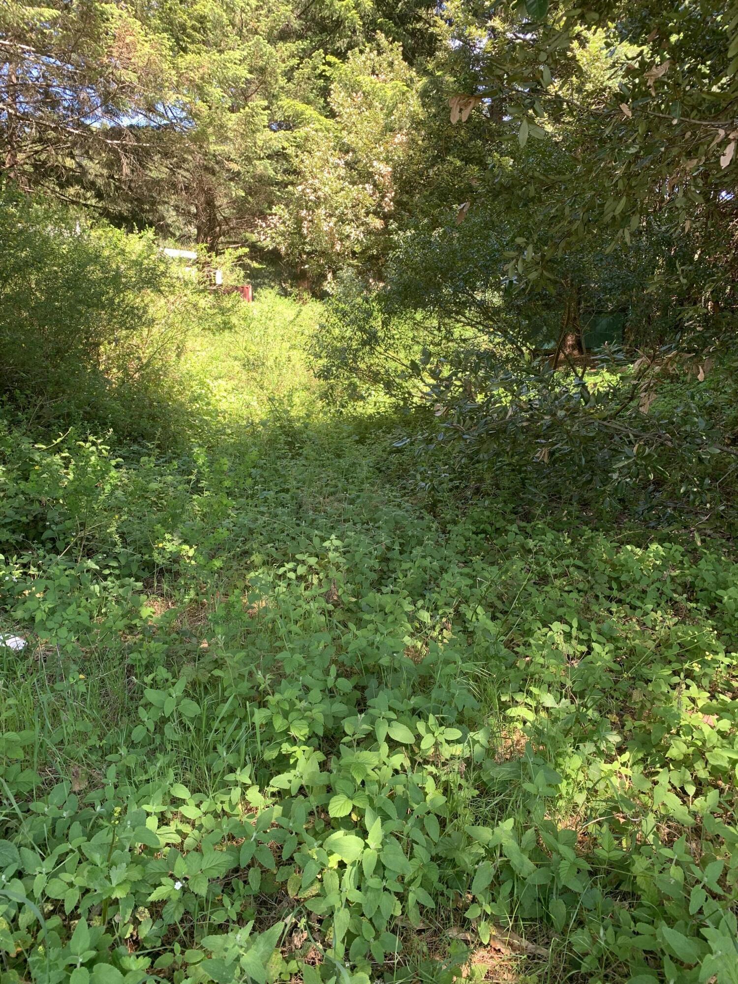 230 Cougar Road Whitethorn, CA 95589 - Photo 3 of 7