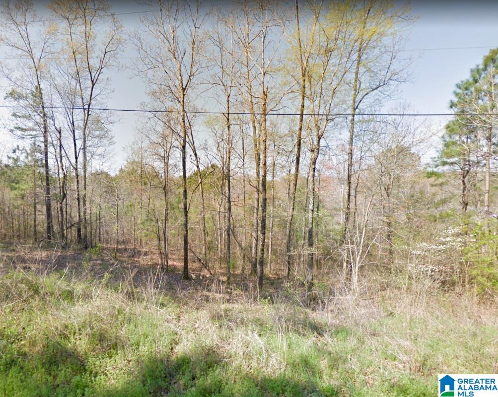 Akins Miller Road Jasper, AL 35501 - Photo 7 of 13