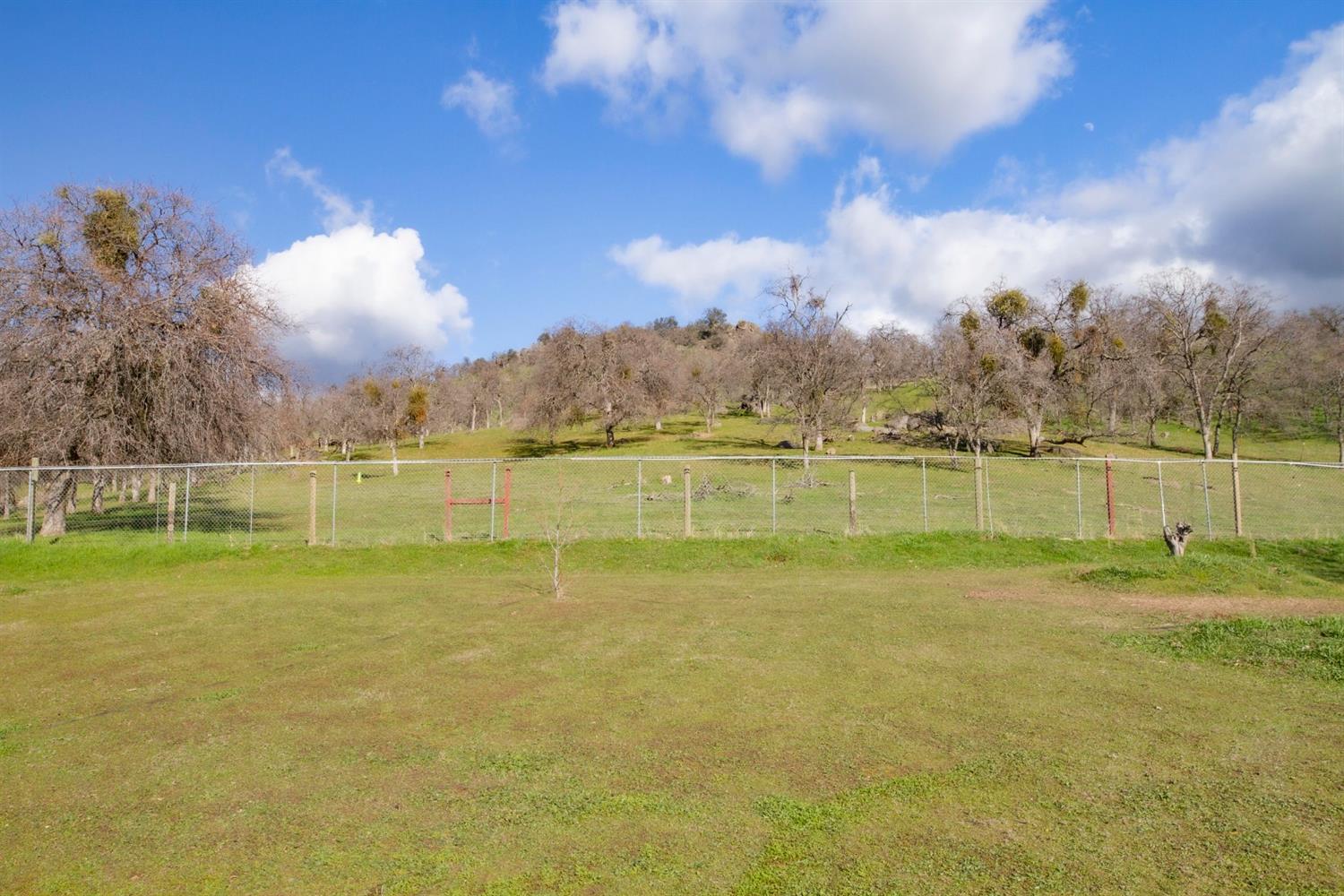 45694 Longview Road Squaw Valley, CA 93675 - Photo 43 of 53 Gallery Image 43