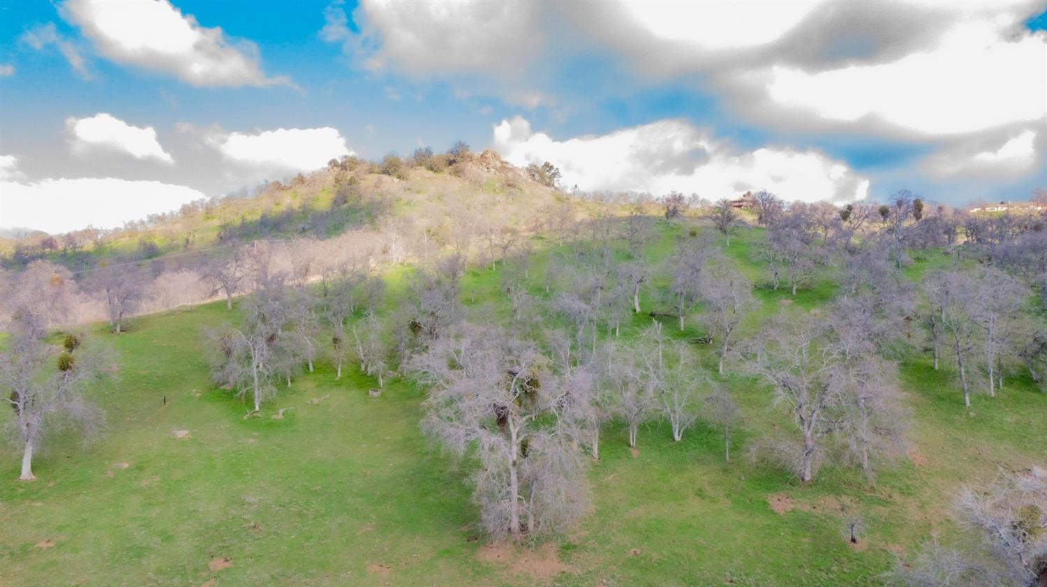 45694 Longview Road Squaw Valley, CA 93675 - Photo 49 of 53 Gallery Image 49