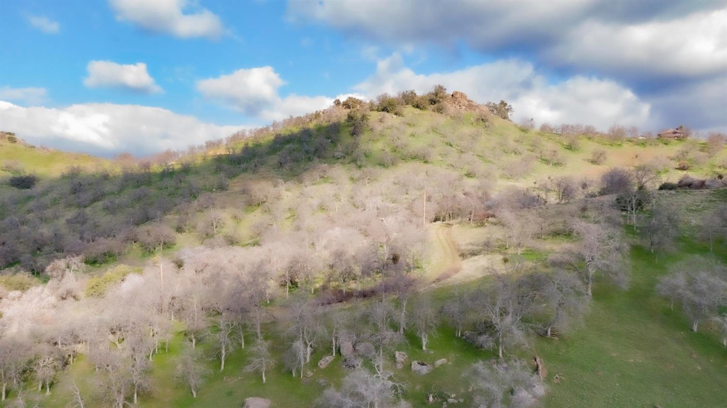 45694 Longview Road Squaw Valley, CA 93675 - Photo 50 of 53 Gallery Image 50