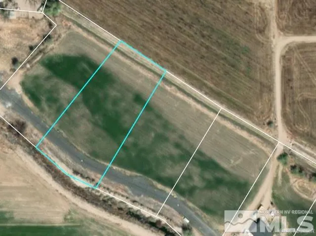 a view of a yard with an umbrella