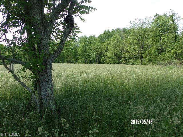Off Off Traphill Road Traphill, NC 28685 - Photo 8 of 12 Gallery Image 8