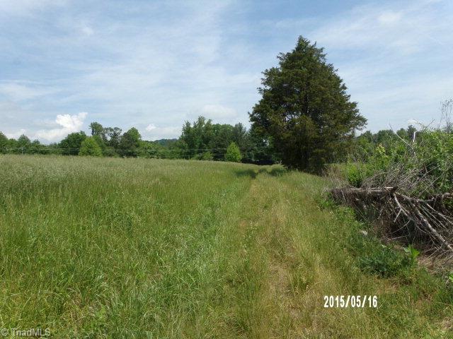 Off Off Traphill Road Traphill, NC 28685 - Photo 10 of 12 Gallery Image 10