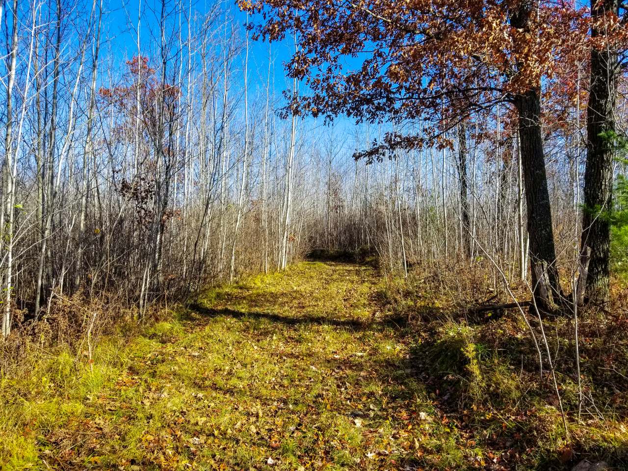 Lot 3 Lake Nokomis Road Tomahawk, WI 54487 - Photo 1 of 22 Gallery Image 1