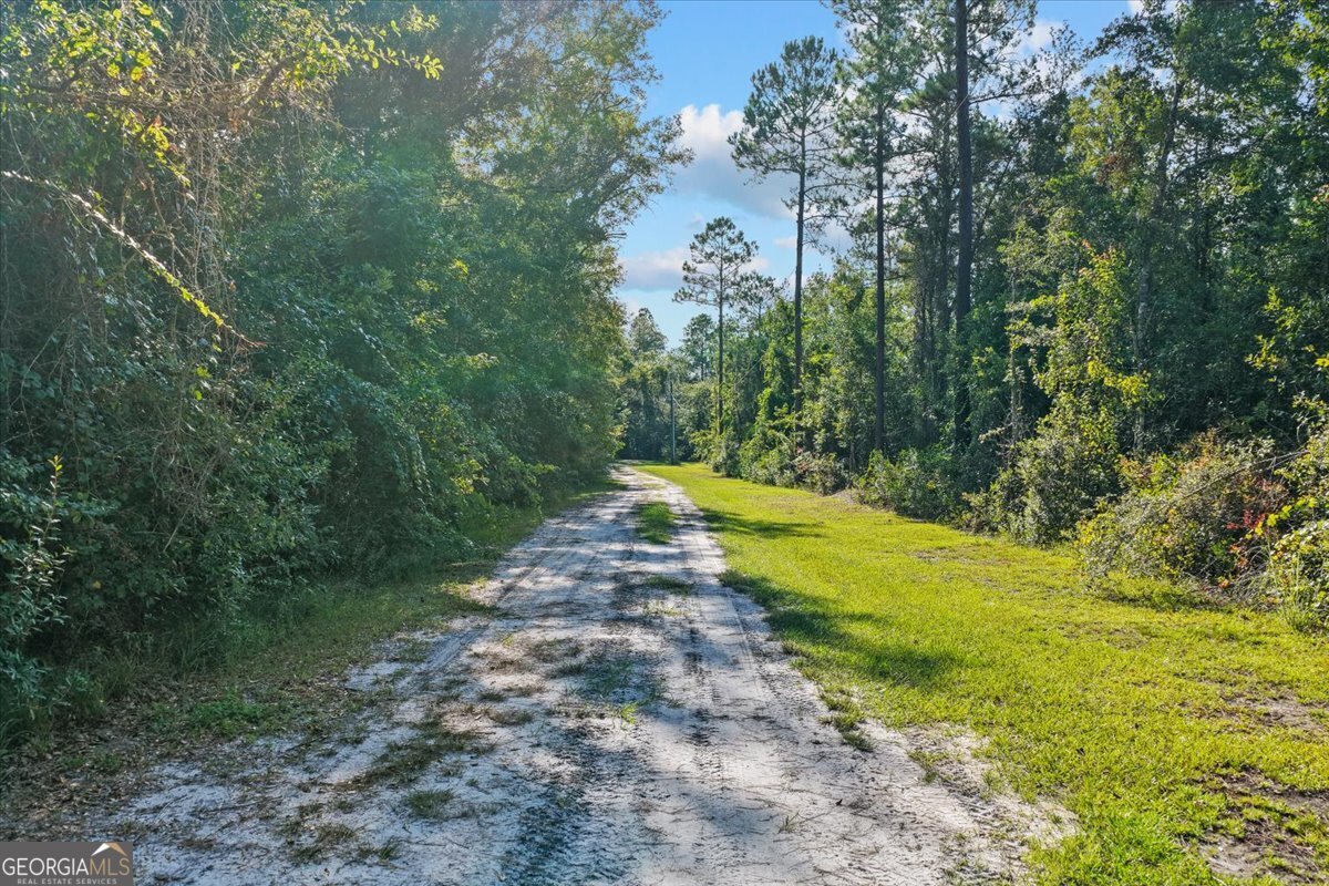 2273 Ga Highway 110 Folkston, GA 31537 - Photo 14 of 42 a view of a yard with plants and large trees