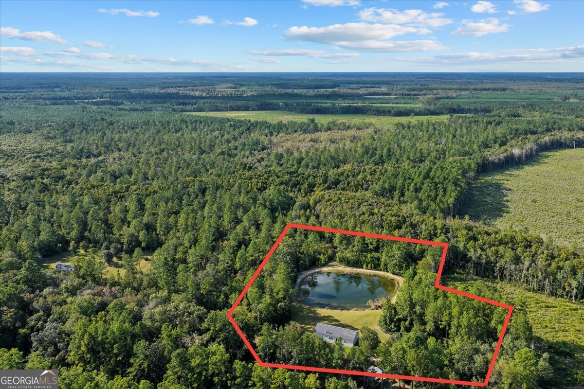 2273 Ga Highway 110 Folkston, GA 31537 - Photo 2 of 42 a view of a garden with a lake in the back