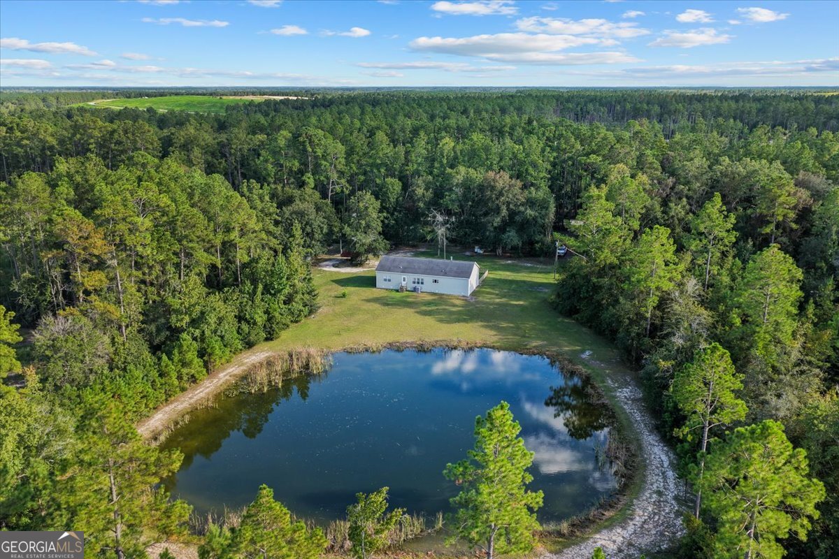 2273 Ga Highway 110 Folkston, GA 31537 - Photo 6 of 42 a view of a lake with a yard