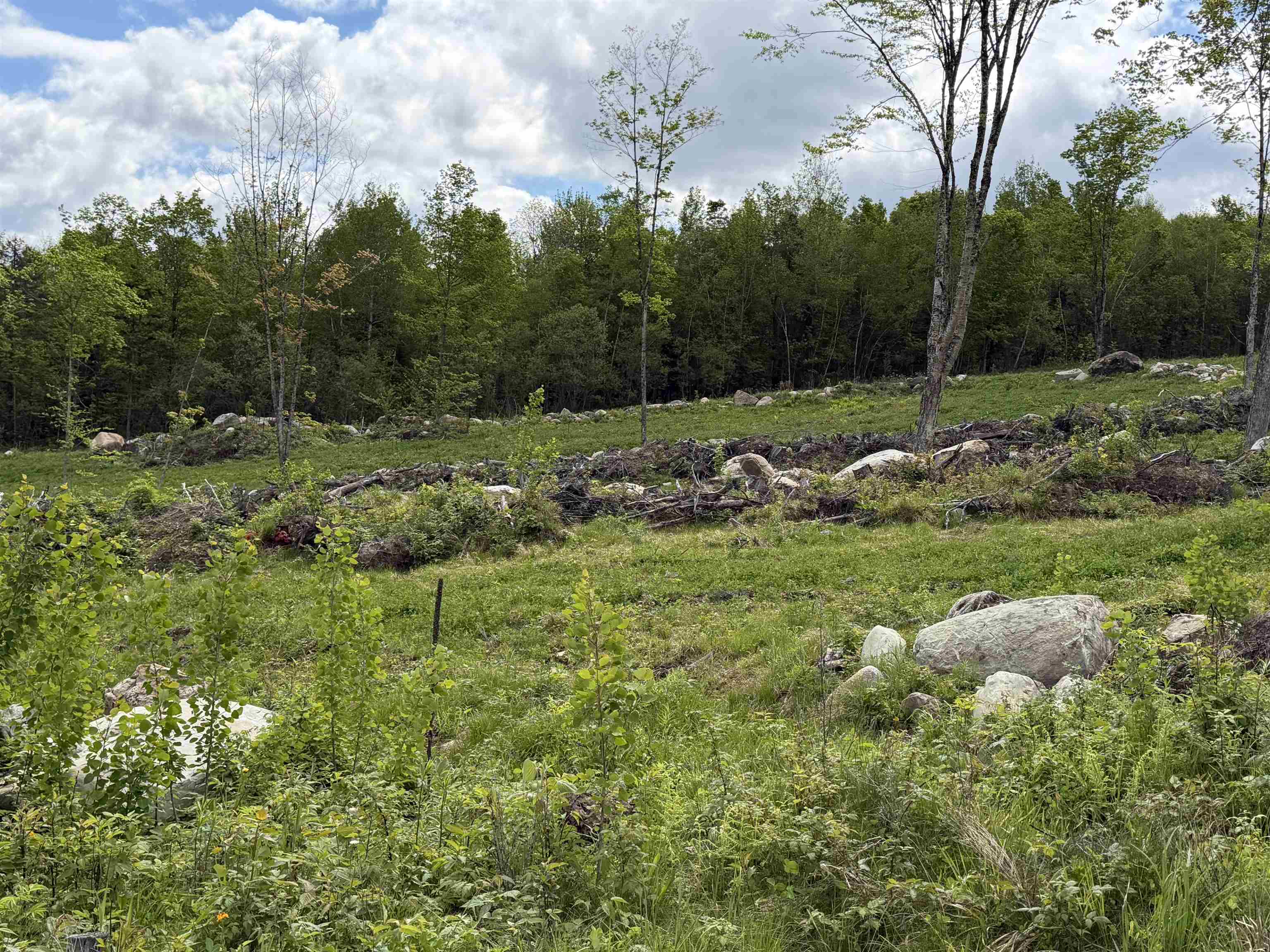 0 Gibbs Road, Unit LOT #2 Newport Center, VT 05857 - Photo 5 of 11
