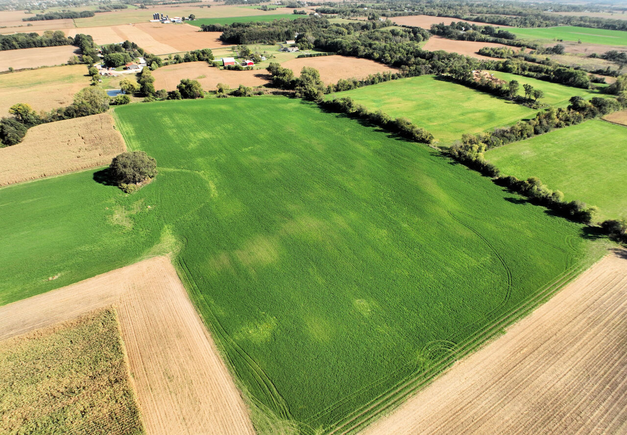 153.8-acre Sugar Creek Road Sugar Creek, WI 53121 - Photo 10 of 11 Photo 10