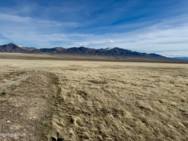a view of an ocean beach