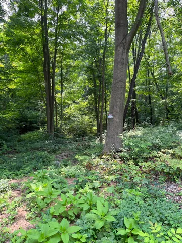 $45,000 | 6218 Adams Street, Coloma, MI 49038