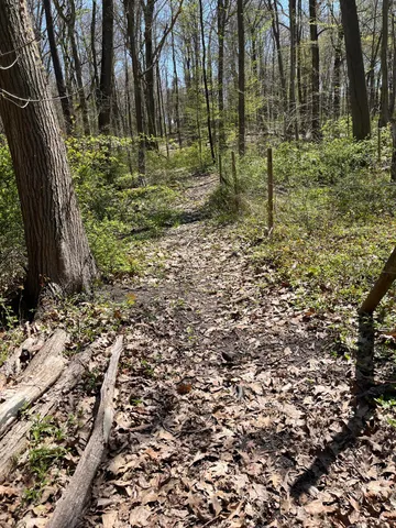 $45,000 | 6218 Adams Street, Coloma, MI 49038