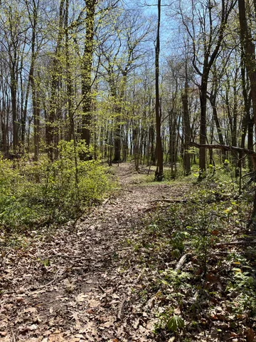 $45,000 | 6218 Adams Street, Coloma, MI 49038