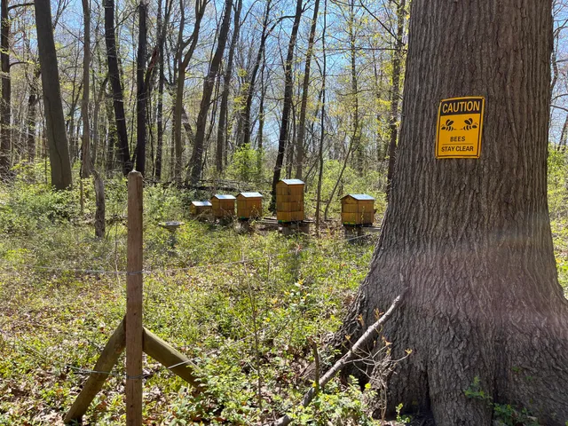 $45,000 | 6218 Adams Street, Coloma, MI 49038