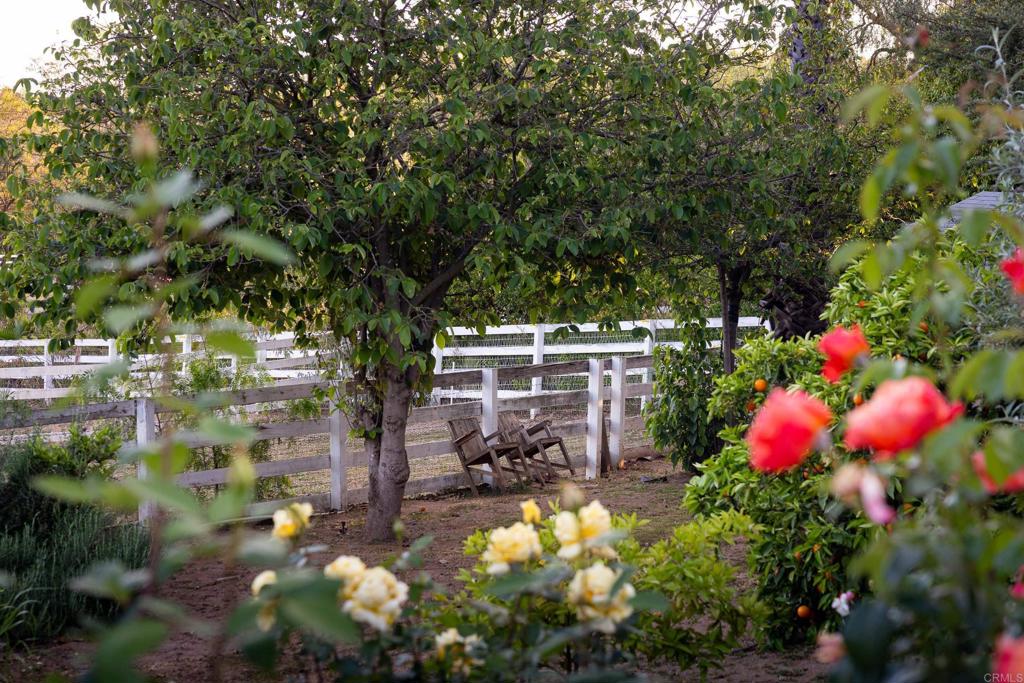 15017 Skyridge Road Poway, CA 92064 - Photo 42 of 54 a view of swimming pool with lawn chairs and plants