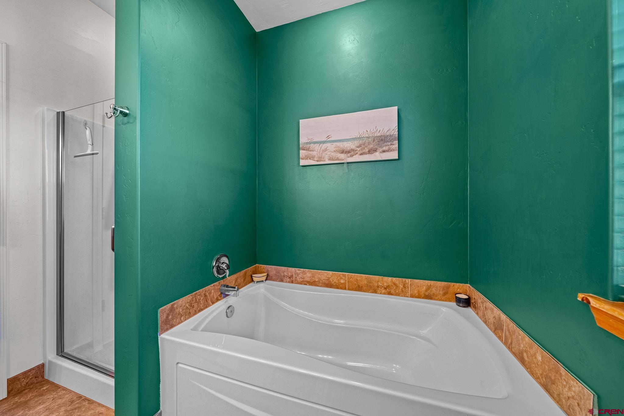 72 Cedar Ridge Way Durango, CO 81301 - Photo 15 of 33 a bathroom with a bathtub