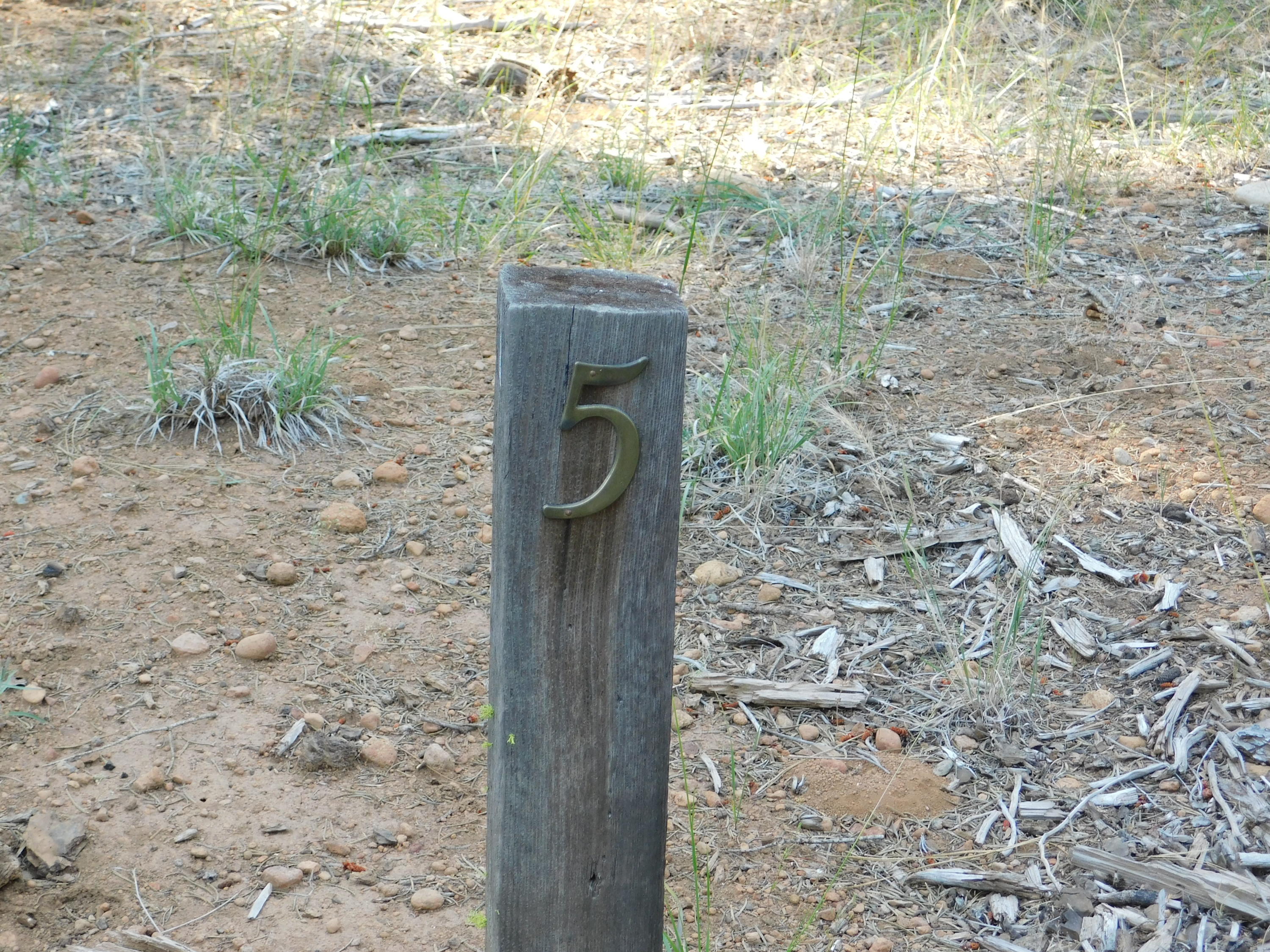 DSCN0473
