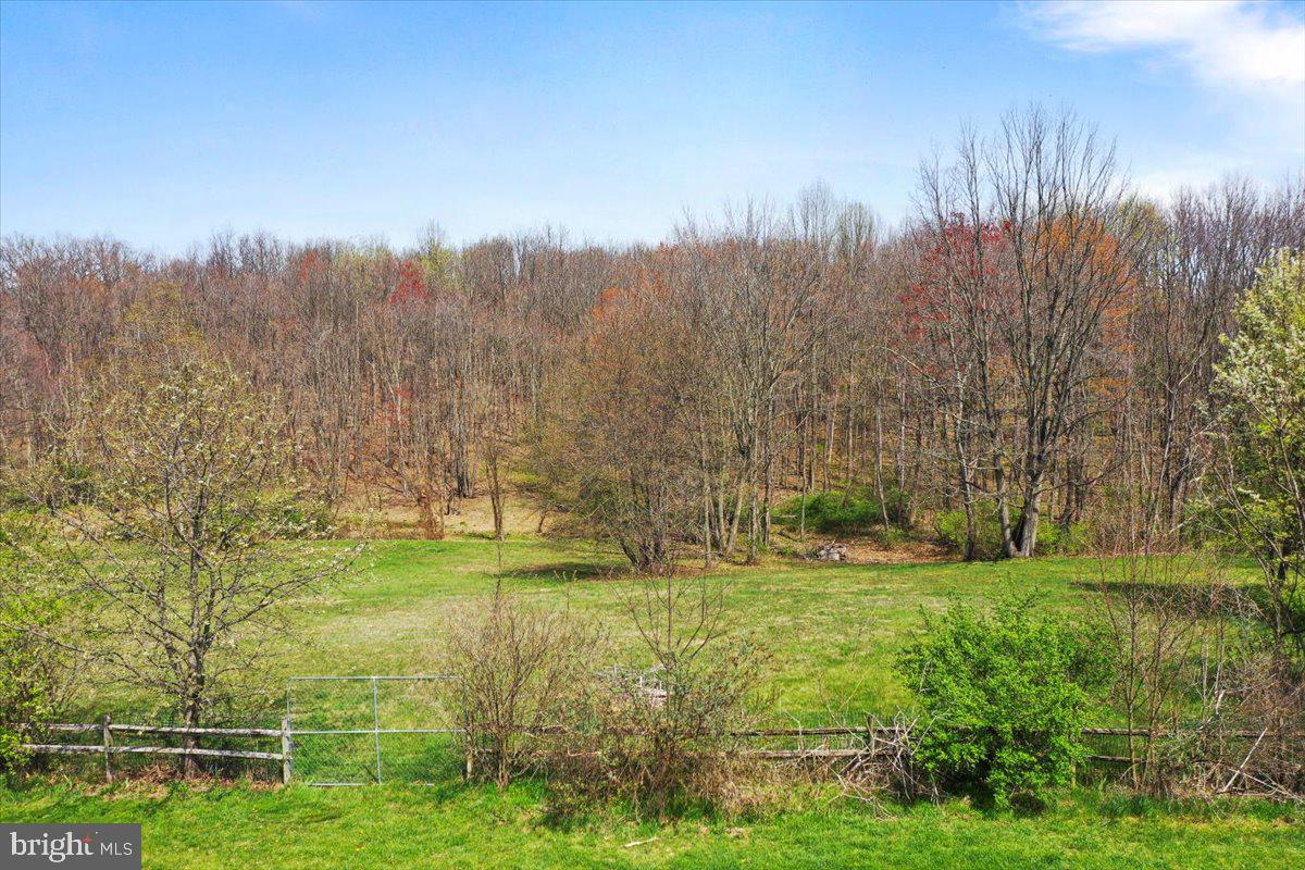 4045 North Stone Road Taneytown, MD 21787 - Photo 39 of 45 a view of outdoor space with trees all around