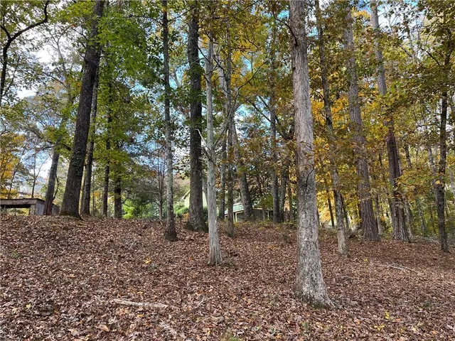 $429,900 | 159 May Lane, Zebulon, GA 30295