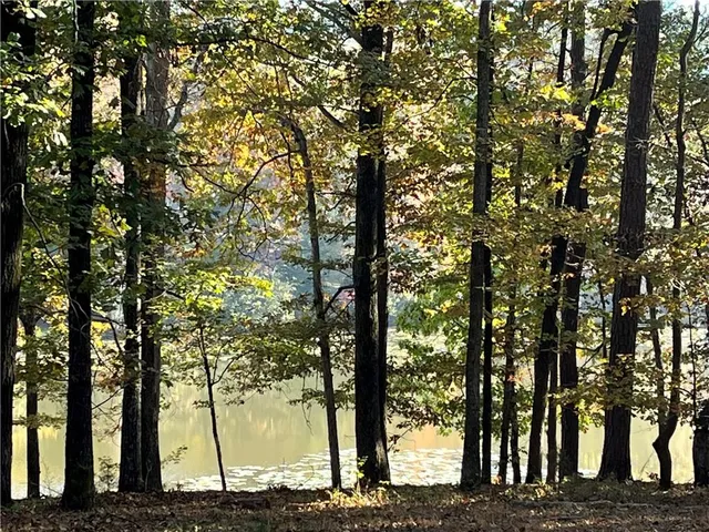 $429,900 | 159 May Lane, Zebulon, GA 30295