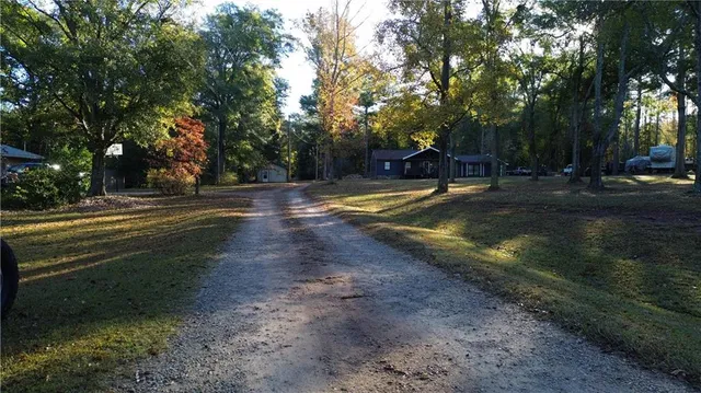 a backyard of a house with plants and tree