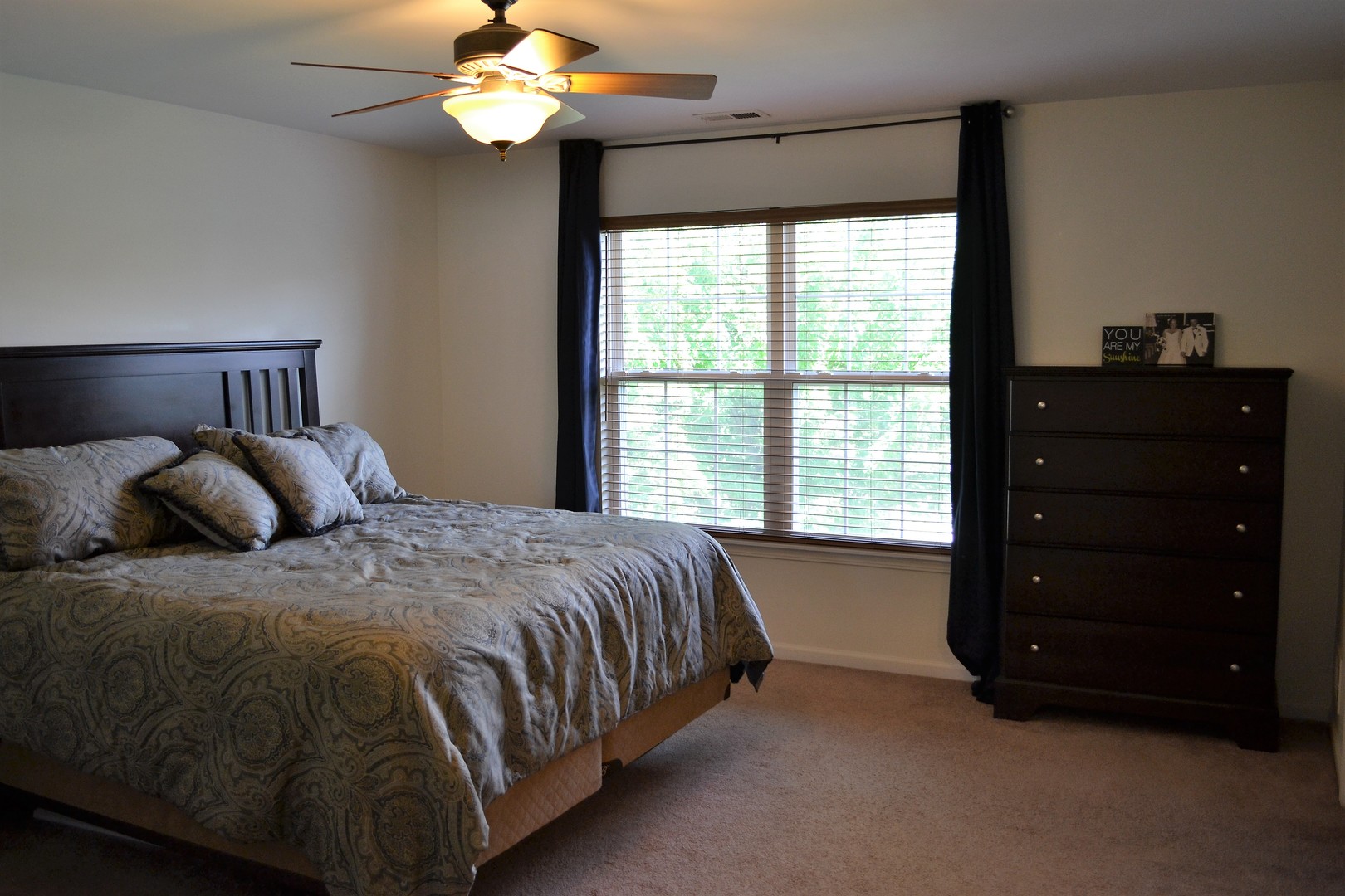 2328 Georgetown Court Aurora, IL 60503 - Photo 17 of 30