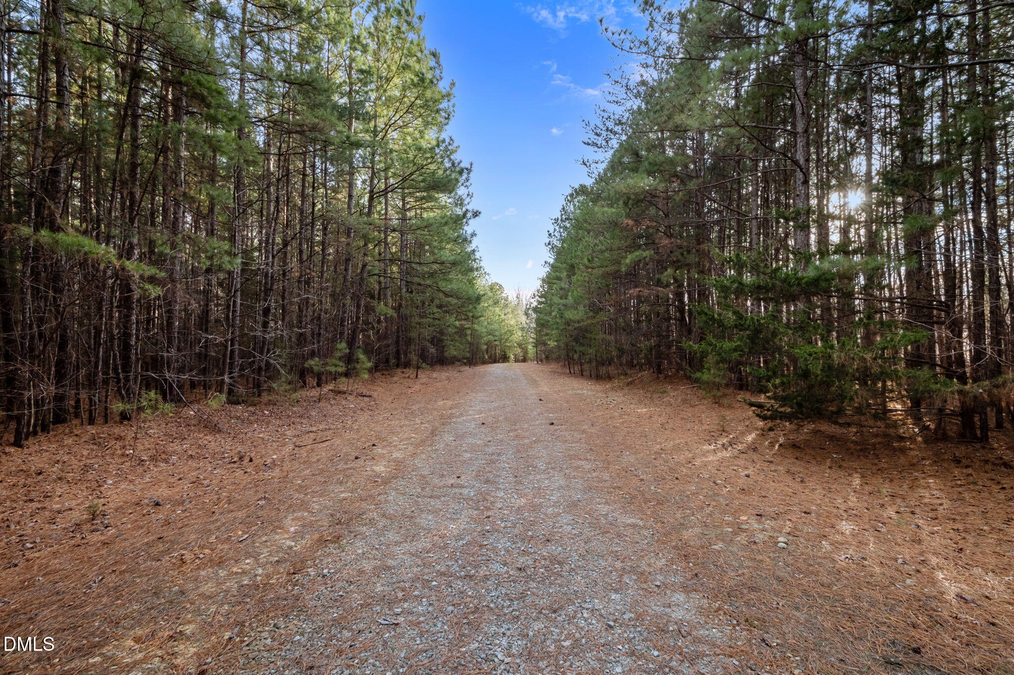 10.75-acre Neal's Store Road Roxboro, NC 27574 - Photo 11 of 17 a view of outdoor space and yard