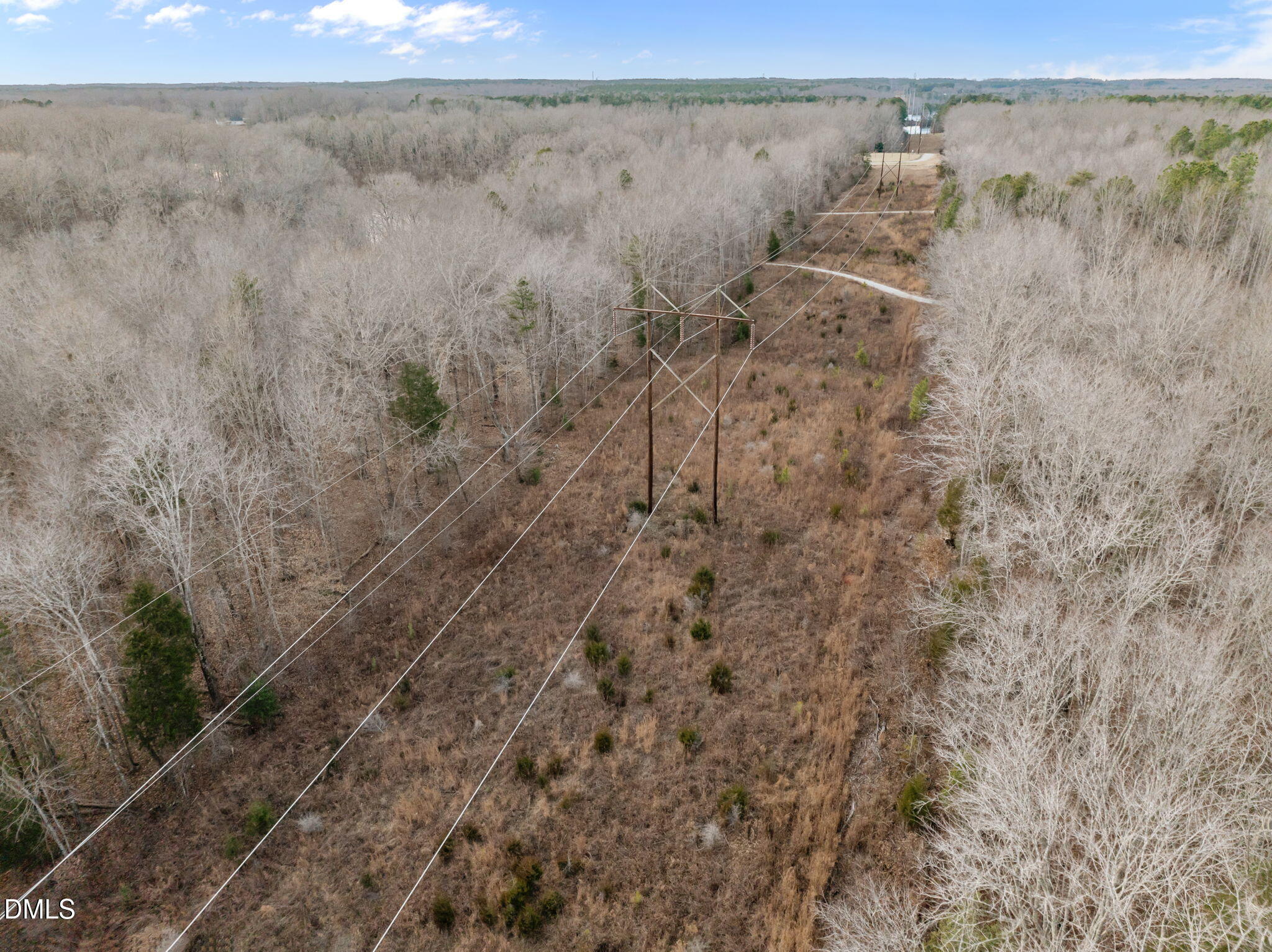 10.75-acre Neal's Store Road Roxboro, NC 27574 - Photo 13 of 17 a view of a dry yard with trees