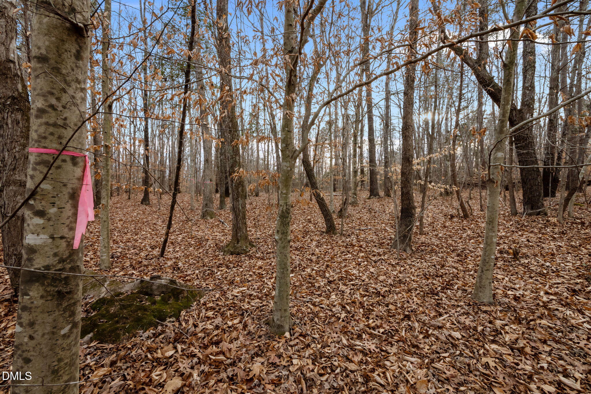 10.75-acre Neal's Store Road Roxboro, NC 27574 - Photo 9 of 17 a backyard of a house with lots of green space