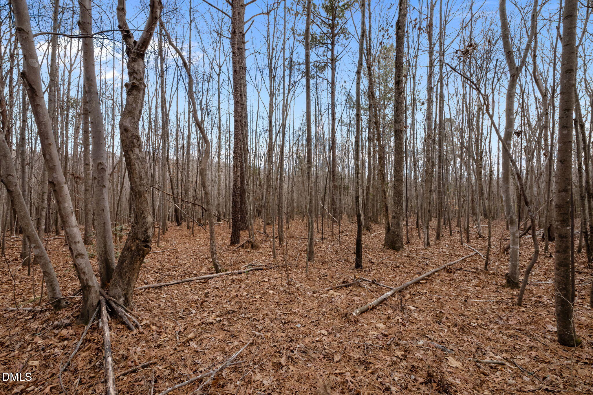 10.75-acre Neal's Store Road Roxboro, NC 27574 - Photo 10 of 17 a view of wooden fence with a plant