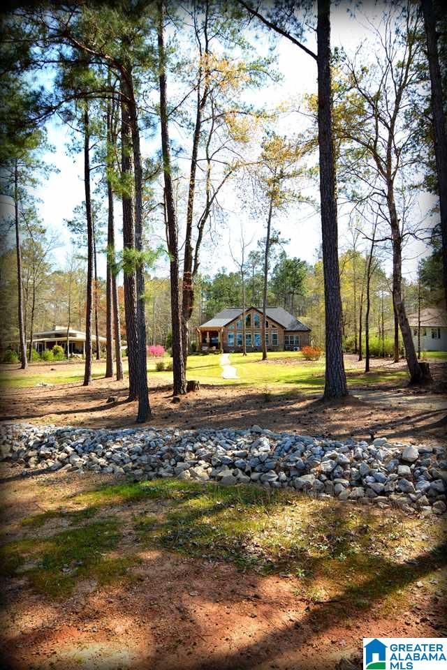 2317 Hamilton Road Pell City, AL 35128 - Photo 46 of 50